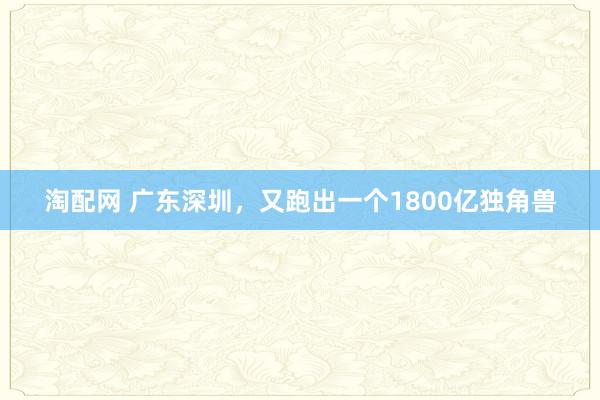 淘配网 广东深圳，又跑出一个1800亿独角兽