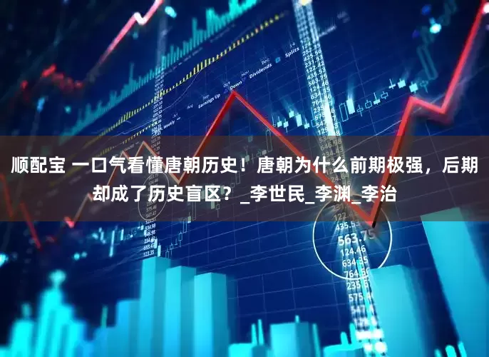 顺配宝 一口气看懂唐朝历史！唐朝为什么前期极强，后期却成了历史盲区？_李世民_李渊_李治