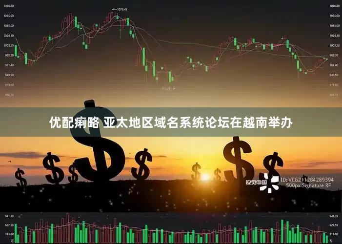 优配痢略 亚太地区域名系统论坛在越南举办