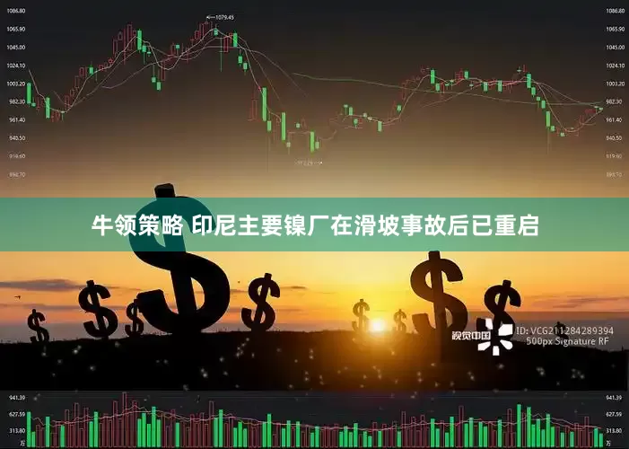 牛领策略 印尼主要镍厂在滑坡事故后已重启