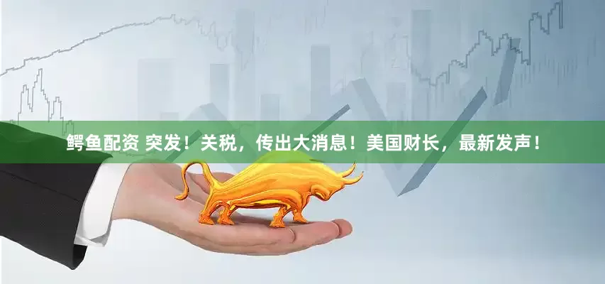 鳄鱼配资 突发！关税，传出大消息！美国财长，最新发声！